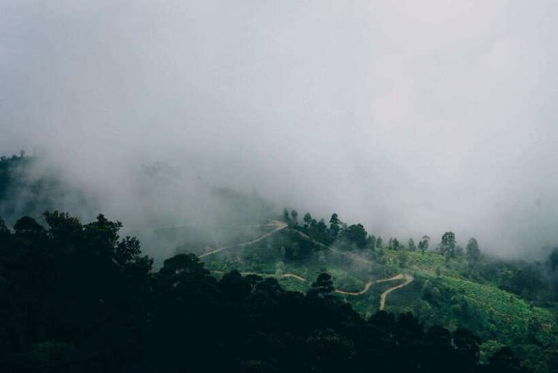 Ella: The Pekoe Trail Stage 16 - Ella to Demodara - Final Thoughts