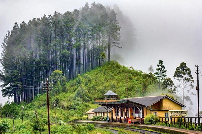 Ella to Colombo Train Tickets (Reserved Seats) - Practical Tips and Final Thoughts