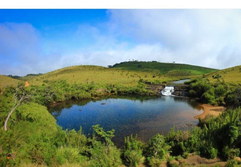 Ella to Horton Plains with Bakers Falls & Train Delights - Frequently Asked Questions