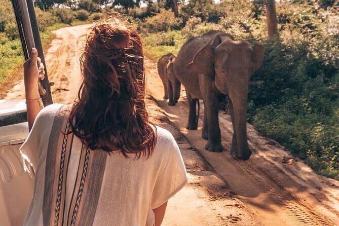 Ella to Mirissa Shuttle & Safari Drive - A Practical Review of the Ella to Mirissa Safari & Shuttle