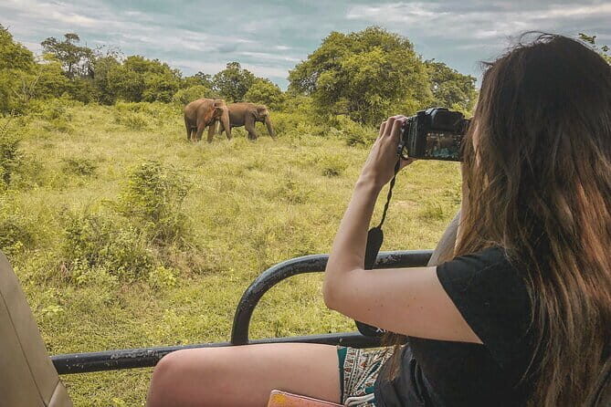 Ella to Mirissa Shuttle & Safari Drive - The Sum Up