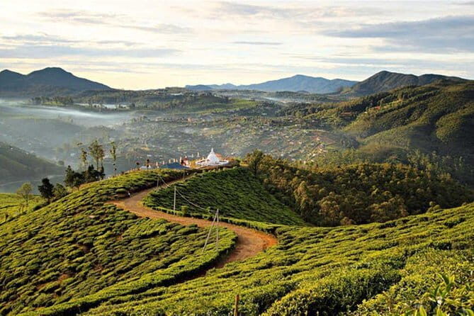 Ella to Nuwara Eliya Day trips with Mr.Tuk Tuk - Who Should Book This Tour?