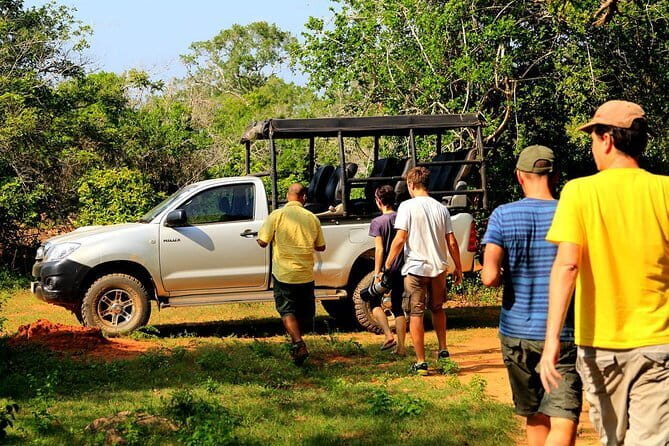 Ella: Transfer to Tangalle/Mirissa/Galle & Yala/Udawalawe Safari - Key Points