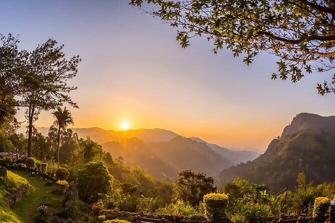 Ella: Transfer to Tangalle/Mirissa/Galle & Yala/Udawalawe Safari - Who Would Love This Tour?