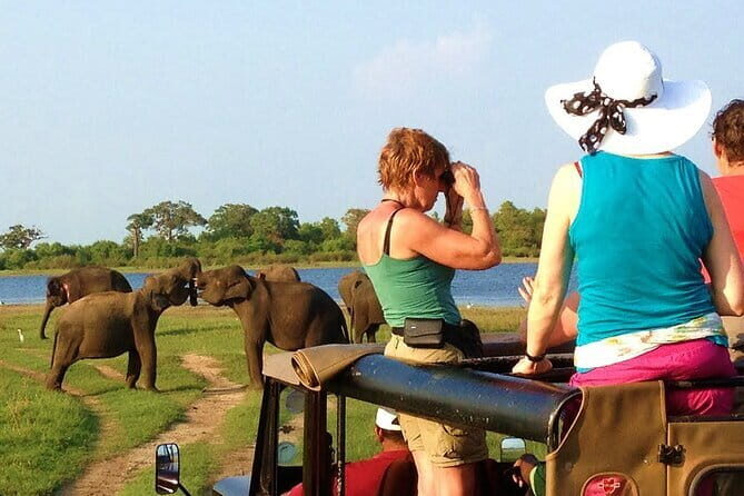 Ella: Transfer to Tangalle/Mirissa/Galle & Yala/Udawalawe Safari - The Sum Up