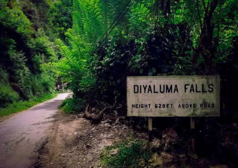 Ella: Tuk Tuk Tour to Diyaluma and Secret Waterfalls - A Practical Breakdown of the Experience