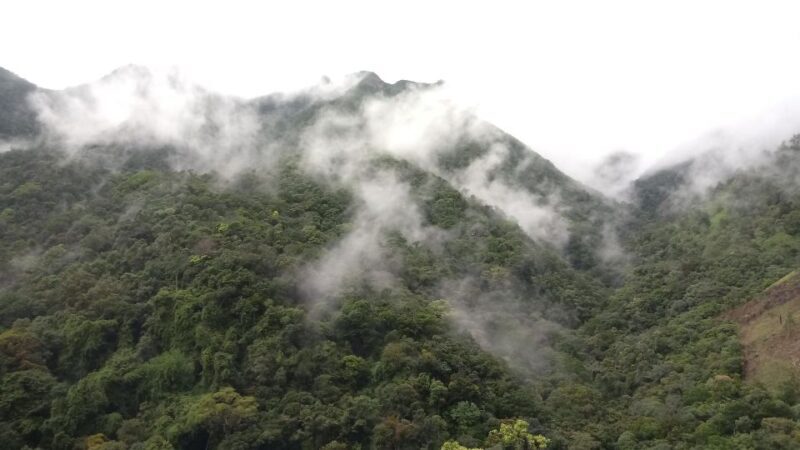 Ella: Waterfall hunting Hike to Bambarakanda and Lanka Falls - Who Should Sign Up?