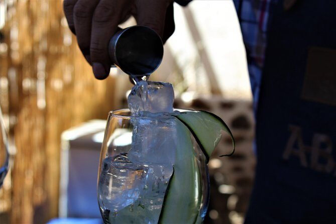 Elqui Valley and Vicuna Private Tour Including Lunch - Final Thoughts: Is It Worth It?