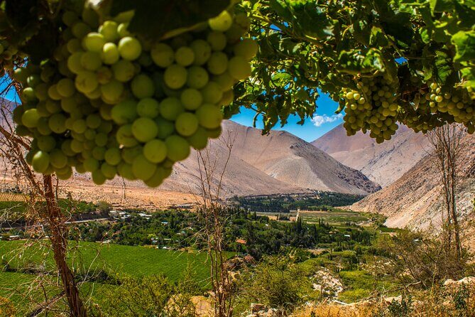 Elqui Valley Tour: Full Day History and Flavors - An In-Depth Look at the Elqui Valley Tour