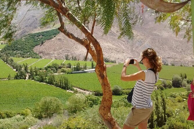Elqui Valley Tour: History and Flavors (NOT FOR CRUISES) - Key Points