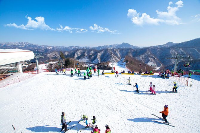 Elysian Gangchon Winter Ski + Eobi Ice Valley Day Tour fr Seoul - Who Would Enjoy This Tour?