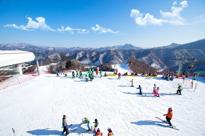 Elysian Gangchon Winter Ski with Nami Island Day Tour from Seoul - A Day of Winter Adventures from Seoul: Nami Island and Elysian Gangchon Ski Tour
