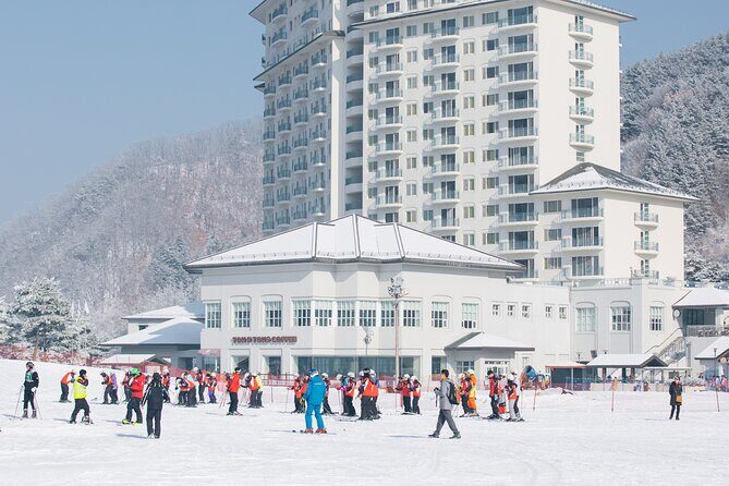 Elysian Gangchon Winter Ski with Nami Island Day Tour from Seoul - Final Thoughts