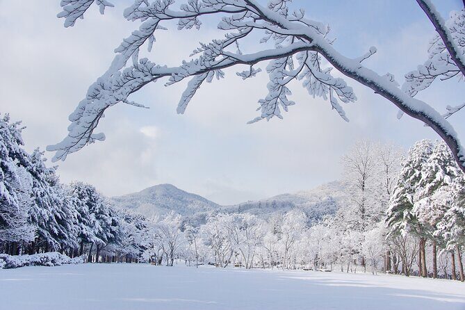 Elysian Gangchon Winter Ski with Nami Island Day Tour from Seoul - FAQs
