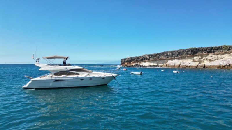 Embark on Ohh Lala sailing along the southwest of Tenerife - Final thoughts: who should consider this tour?