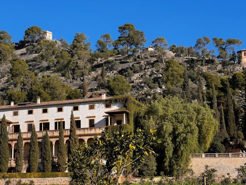 Embrace the enchantment of Mallorca's almond blossom season - Key Points