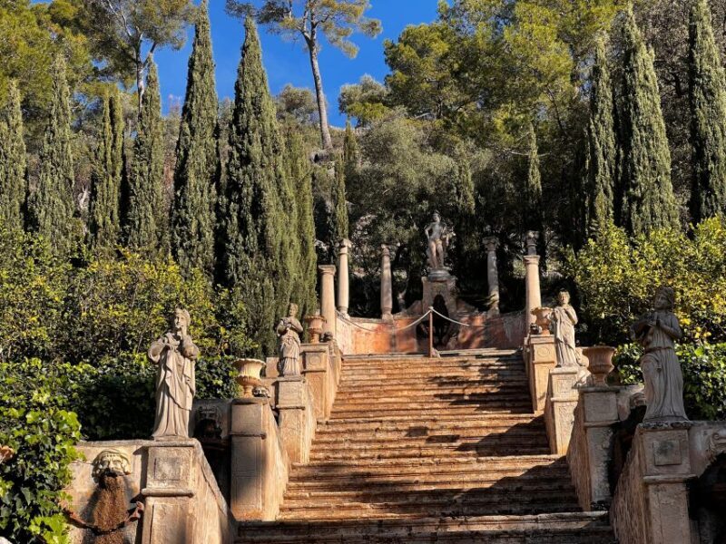 Embrace the enchantment of Mallorca's almond blossom season - A Detailed Look at the Mallorca Almond Blossom Tour