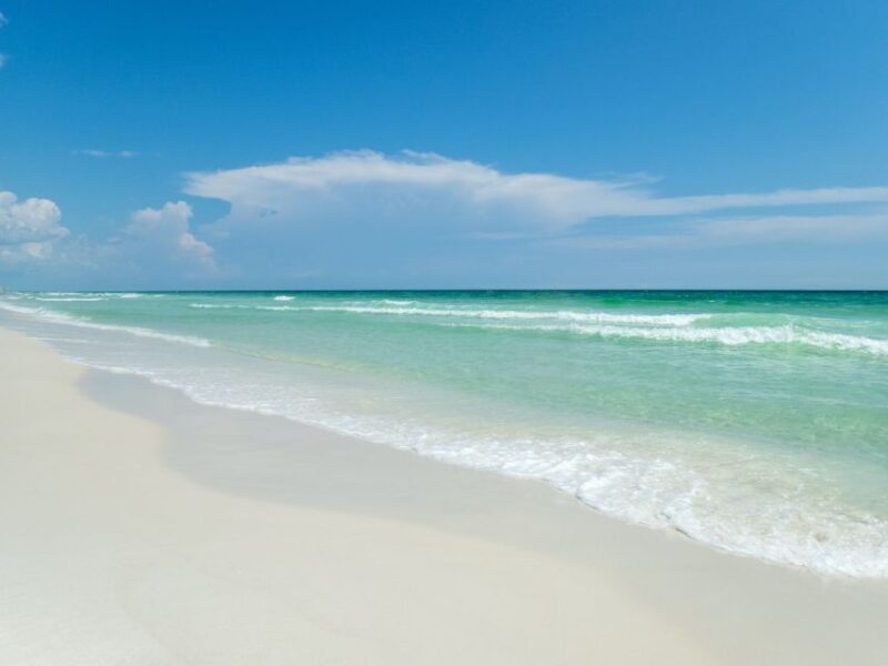 Emerald Coast: Afternoon Snorkel & Dolphin Tour - An In-Depth Look at the Emerald Coast Snorkel & Dolphin Tour