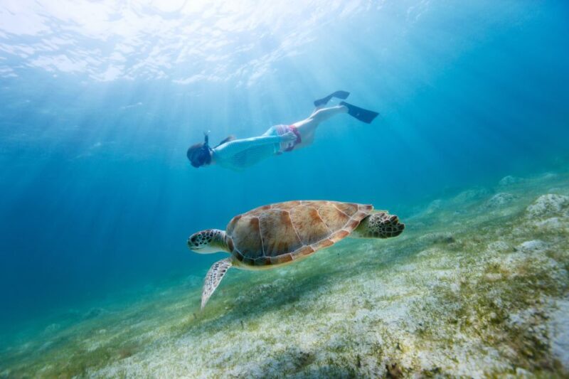 Emerald Coast: Afternoon Snorkel & Dolphin Tour - Final Thoughts
