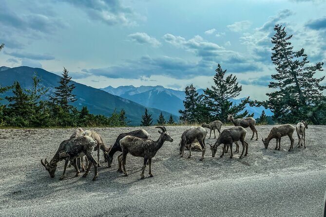 Emerald Lake,Natural Bridge, Wapta Falls & Takakkaw Falls in Yoho - Final Thoughts: Is It Worth It?