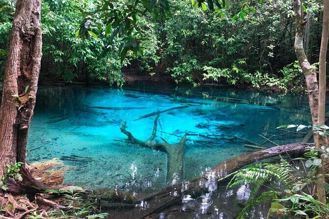 Emerald Pool: Jungle Tour, Private Full Day with Lunch - Practical Details: What You Need to Know