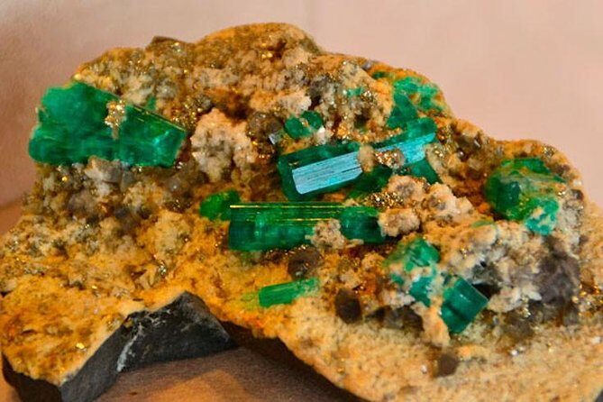 Emerald Shore Excursion - The Sum Up