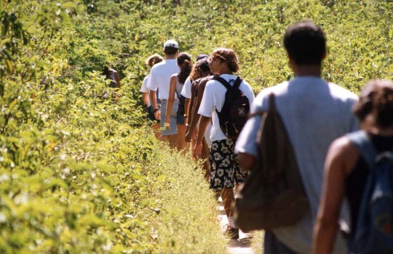 Emerências & José Gonçalves Trail: Stunning Búzios Panorama - A Practical Look at the Emerências & José Gonçalves Trail
