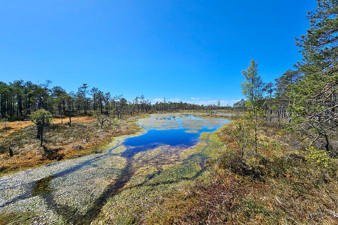 emeri Bogs Adventure: Explore Wetlands In Bog Shoes - Who Would Enjoy This Tour?