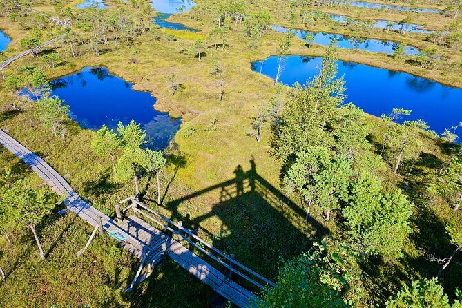 emeri Great Bog Discovery With Optional Sunrise & Jrmala Visit - Kemeri Great Bog Discovery with Optional Sunrise & Jūrmala Visit: A Comprehensive Review