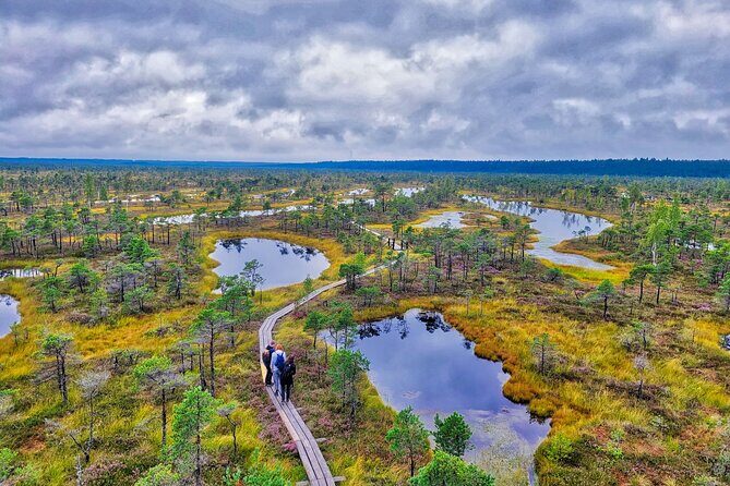 emeri Great Bog Discovery With Optional Sunrise & Jrmala Visit - Exploring Latvia’s Natural Wonder: Kemeri Great Bog