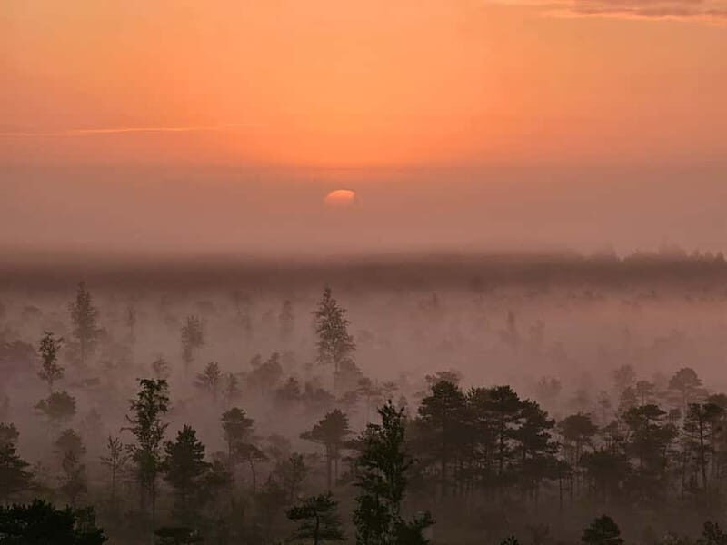 emeri Great Bog With Optional Sunrise & Jrmala Visit - A Deep Dive into the Great Kemeri Bog Tour