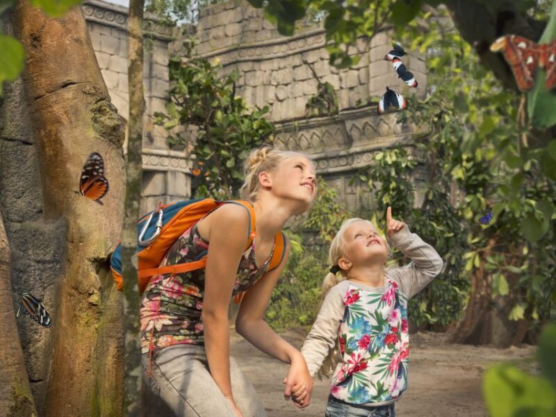 Emmen: Wildlands Adventure Zoo and Rimbula River Boat Ride - Facilities and Amenities