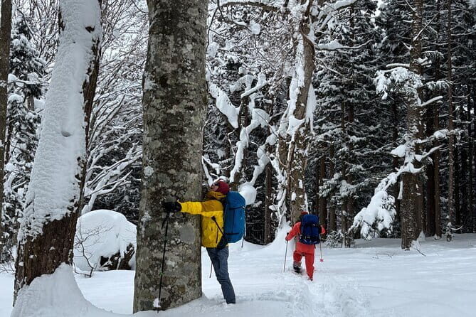 EN/CN Guided Snowshoeing and Snow Monkey Tour in Nagano - Key Points