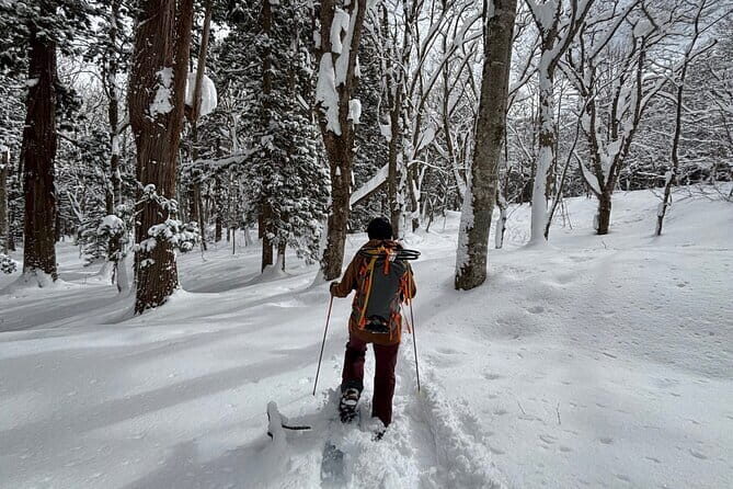 EN/CN Guided Snowshoeing and Snow Monkey Tour in Nagano - Who Is This Tour Best For?