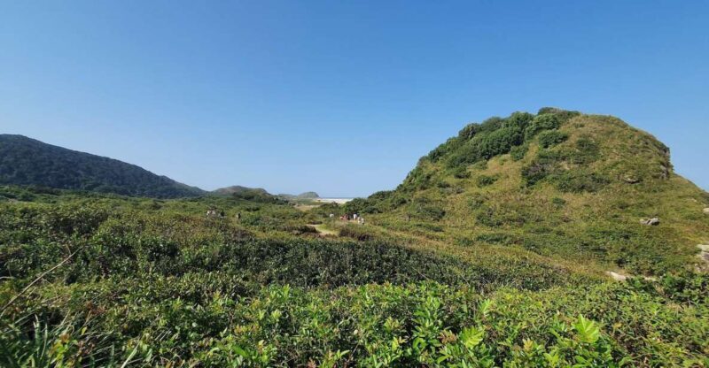 Enchanting Escape: Discovering Ilha do Mel's Hiden Treasure - A Detailed Look at the Ilha do Mel Experience