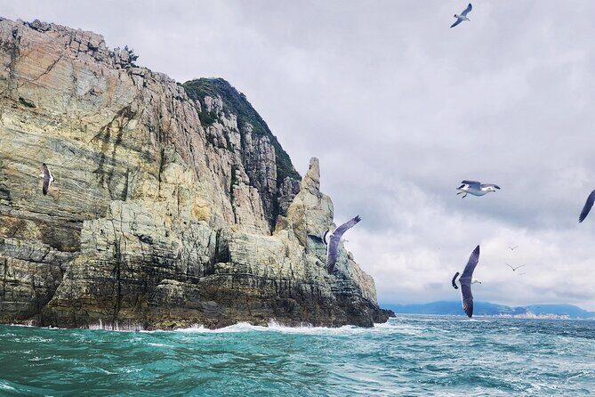 Enchanting Oedo Island Day Tour from Busan with Windy Hill - Value and Consideration