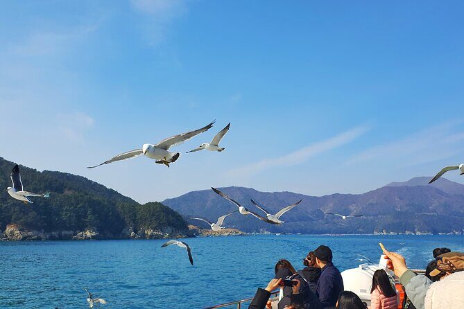 Enchanting Oedo Island Day Tour from Busan with Windy Hill - Who Will Love This Tour?