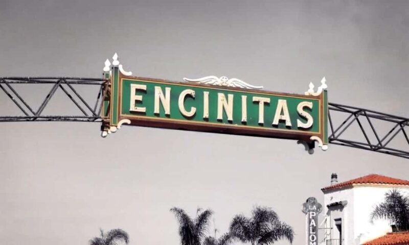Encinitas: Downtown Walking Tour - Who Will Enjoy This?