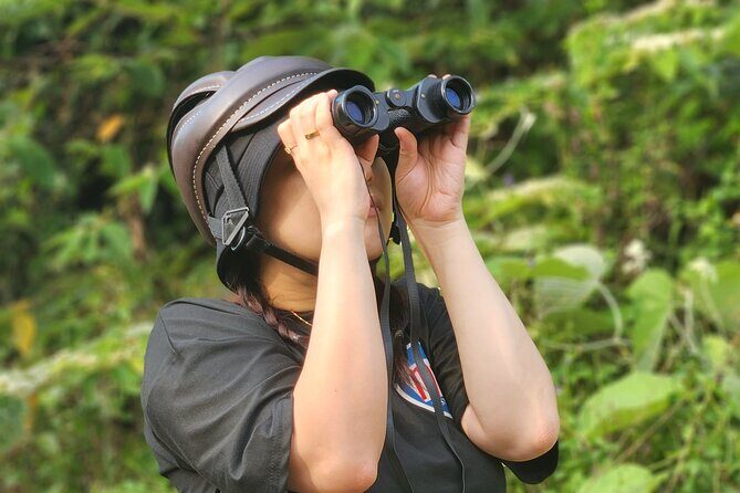 Endangered Monkeys Watching - Red Shanked Douc Langurs - A Detailed Look at the Red Shanked Douc Langur Tour