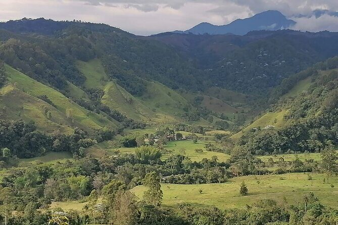 Endemic Birds Tour in Salento - FAQ