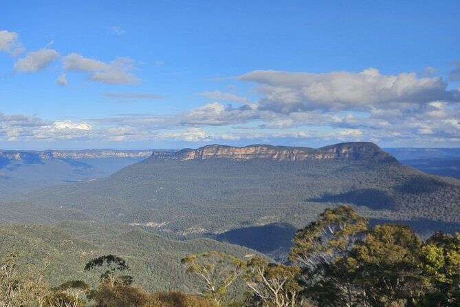 English or German Luxury Private Blue Mountains Tour from Sydney - Final Thoughts: The Value of a Private, Custom Experience