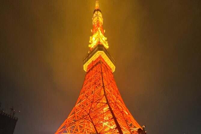 English-speaking guided day tour of Tokyo with a private vehicle - Practical Details & Value for Travelers