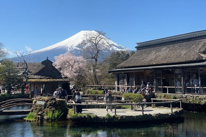English-speaking Guided Tour:Mount Fuji & Hakone, Private Vehicle - Final Thoughts: Who Will Love This Tour?