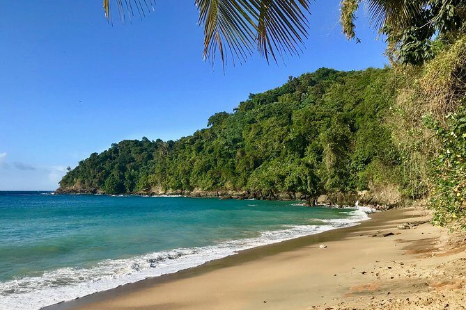 Englishman's Bay Day Trip with Lunch - What Do Travelers Say?