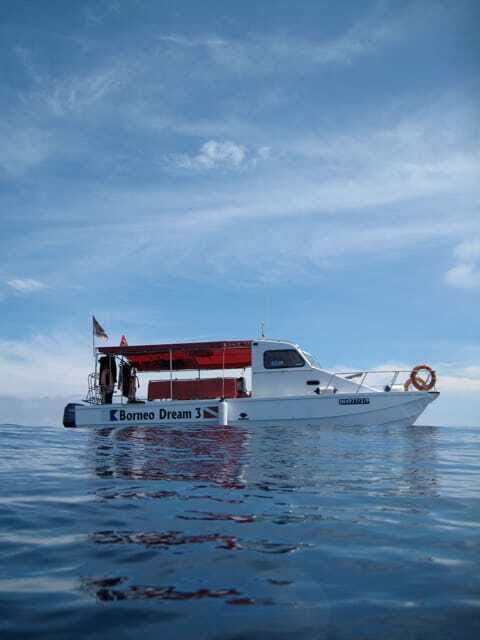 Enjoy 3 Fun Dives in Kota Kinabalu | Certified Divers - Enjoy 3 Fun Dives in Kota Kinabalu | Certified Divers