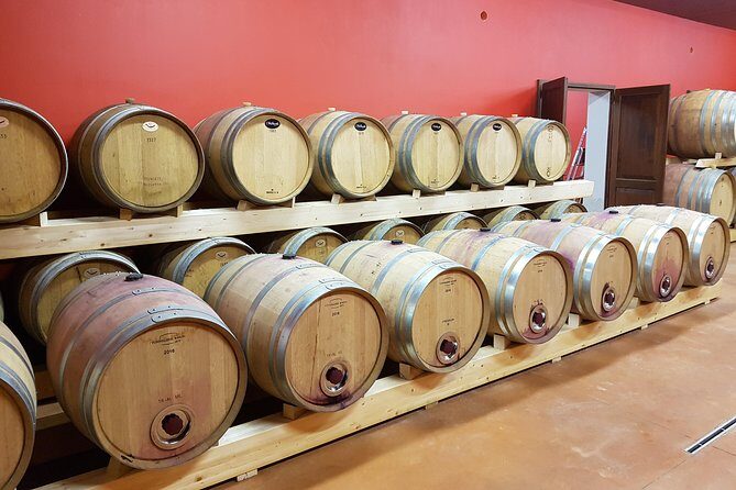 Enjoy a meal with wine tasting in the vineyard of Podere Casanova - What is the experience all about?