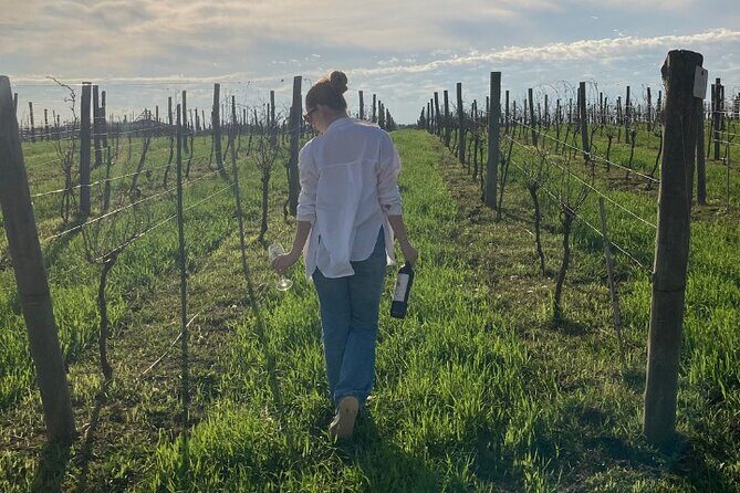 Enjoy a Rural Experience in a Vineyard near Buenos Aires - A Detailed Look at the Vineyard Tour Near Buenos Aires