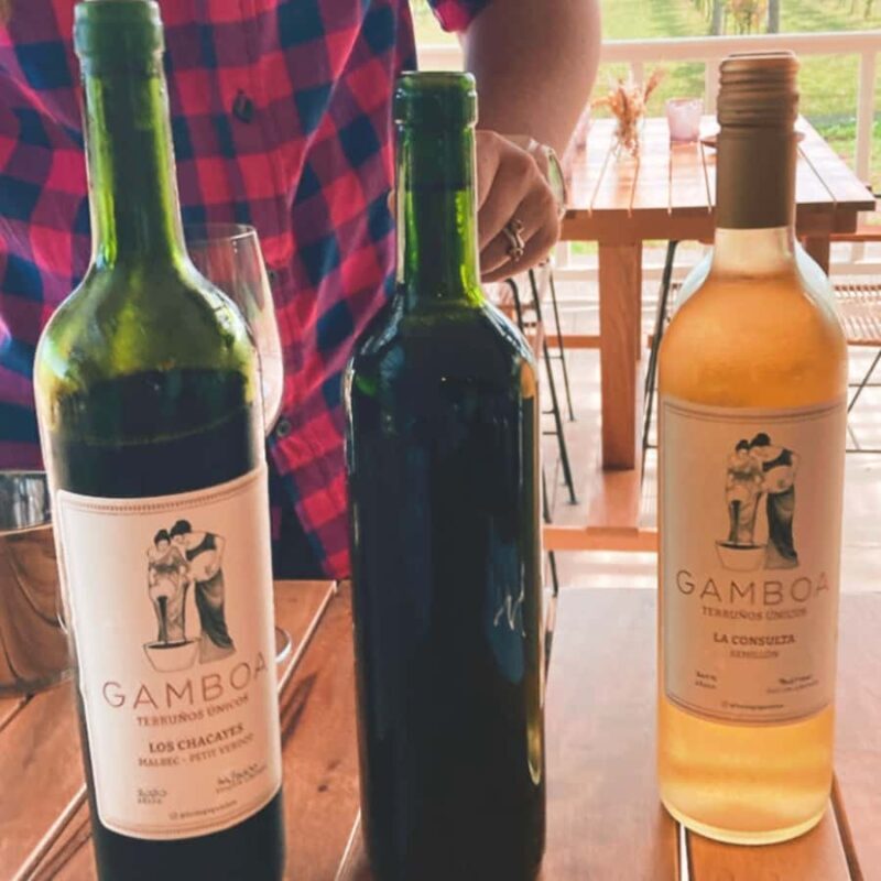 Enjoy a Rural Experience in a Vineyard near Buenos Aires - Enjoy a Rural Experience in a Vineyard Near Buenos Aires