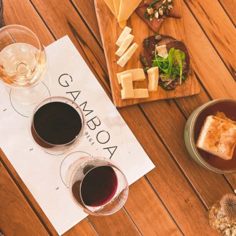 Enjoy a Rural Experience in a Vineyard near Buenos Aires - Key Points