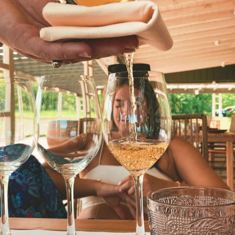 Enjoy a Rural Experience in a Vineyard near Buenos Aires - Who Will Love This Tour?